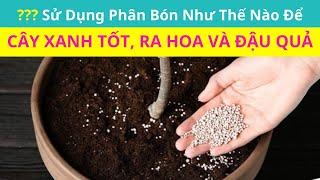 Cách Bón Phân Cho Cây Cảnh Trong Chậu Đúng Cách và Hiệu Quả | Cách Bón Phân Cho Cây Hoa, Cây Ăn Quả