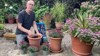 Adam's autumn garden diary exclusive to World Radio Gardening