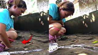 Pipis Ahh  Kebelet Asli Lucu Banget || Comedy Funny Video