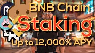 Insane APY Staking on Binance Smart Chain - CAKE, BUNNY, etc. 110-12000% APY. Understand the risks!