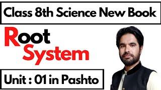 Root System || Class 8th science new book in pashto