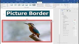 How to Add or Put Picture Border in Microsoft Word 2017