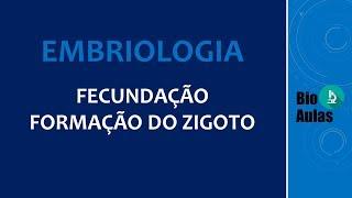 Fecundação: Formação do Zigoto (Embriologia Humana) - Bio Aulas