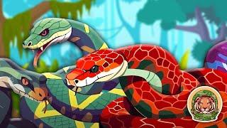 The Viper Song | Animal Songs For Kids | KLT WILD