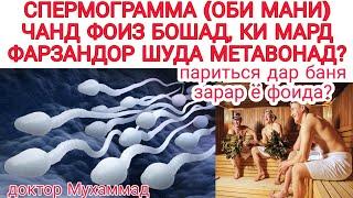 СПЕРМОГРАММА (оби мани) чанд фоиз бошад, ки мард фарзандор шуда метавонад? Чавоб ба саволхо.