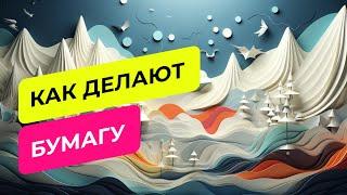 Как делают бумагу в России? 5 фактов, которые вы не знали