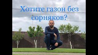 ГАЗОН без сорняков