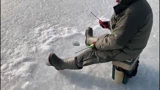Зимняя рыбалка с комфортом. Владивосток.