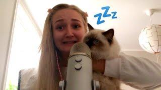 10 TRIGGERS PÅ 10 MINUTER!! Min katt spinner, tapping, mic brushing