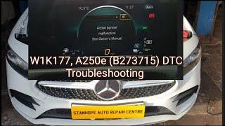 Mercedes Benz W1K177, A250e (B273715) DTC Troubleshooting