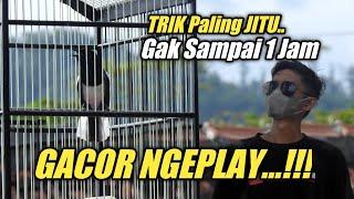 TERNYATA SEMUDAH INI KACER AGAR GACOR DAN NGEPLAY‼️