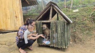 Single Mom Taking Care of Pets - Building a Dog Cage with Natural Bamboo | Mụi Muội - My life