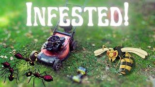 DIFFICULT mower! Ants, wasps, surging carb, and an engine swap