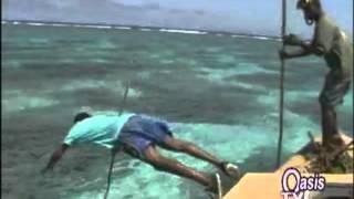 341 fishing fiji style