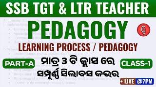 SSB TGT, LTR Teacher 2024 | Pedagogy Class | Full Syllabus Cover | SSB TGT Pedagogy by Sushanta Sir