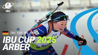 IBU Cup 2024-2025 Arber Highlights