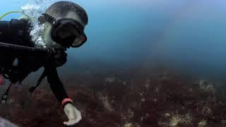 San Pedro Island  11 • Scuba Diving w Dillon • 360° in 4K • 6/13/23