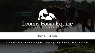 Equine Sand Colic Signs & Symptoms, Diagnosis, and Treatment