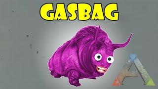 ark gasbag 