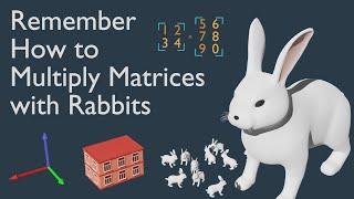 Remember How to Multiply Matrices with Rabbits #SoME3