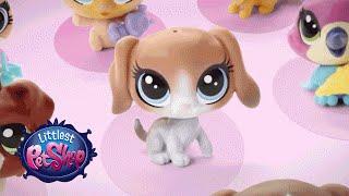 Littlest Pet Shop - 'Collectability' Official T.V. Spot