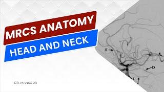 Head and Neck Anatomy Lesson | MRCS part B