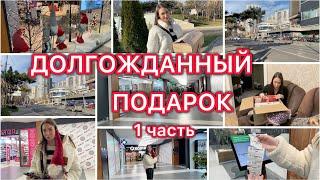 Долгожданный подарок  Купили гномов  Распаковка  VLOG