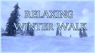 Skyrim Relaxing Winter Walk  4k