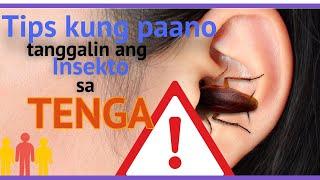 TIPS KUNG PAANO TANGGALIN ANG INSEKTO SA TENGA - TAINGA | LANGGAM TAGALOG | STEPS | CURE | REMEDY