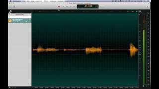 How to Set Up OcenAudio for Voiceover