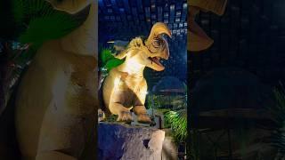 Discover Dinosaurs in Dubai’s IMG World#DiscoverDinosaur #IMGWorldsDubai #DinoAdventure #trending