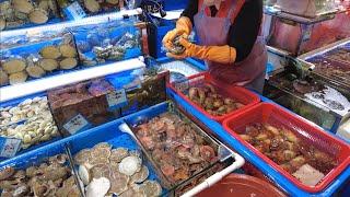 KOREA SEAFOOD MARKET! Where to eat affordable and fresh seafood in Korea?