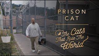 EP 1 | PRISON CAT, GALILEO | THE CATS THAT RULE THE WORLD | SHEBA®