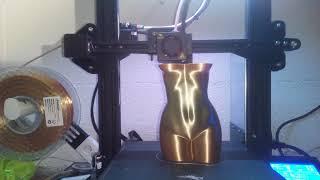 Timelapse Woman body 2 3D print