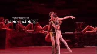 Bolshoi Ballet's Spartacus 2013: Starring Mikhail Lobukhin