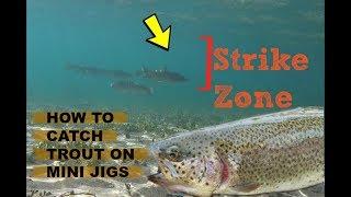 How to Catch Trout On a Mini Jig