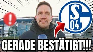 S04: GROßE ERWARTUNG! NEUE VERSTÄRKUNGEN KOMMEN! aktuelle nachrichten des schalke 04 aktuell / News