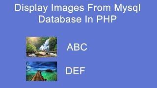 display image from mysql database in php