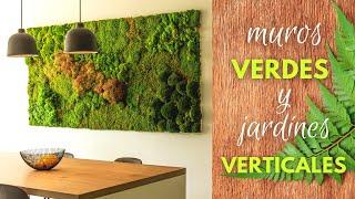 ️​ UN MURO VERDE o JARDÍN VERTICAL transforma cualquier lugar DISEÑO Y DECORACION DE INTERIORES️​