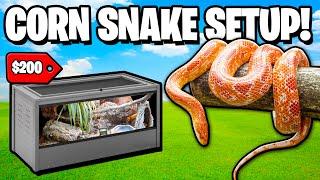 Corn Snake Setup Guide!