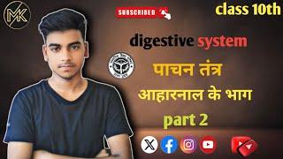 Pachan Tantra || पाचन तंत्र|| digestive system in Hindi || my new video