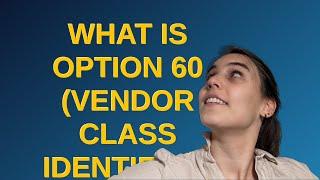 What is Option 60 (Vendor Class Identifier) used for in DHCPv4?