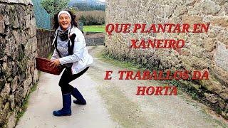 QUE PLANTAR EN ENERO E TRABALLOS DA HORTA  || {NUSKA}