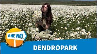 Տուր դեպի Դենդրոպարկ/ Tour to Dendropark