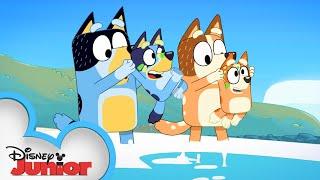 Red, White, and Bluey! | Bluey | Disney Junior