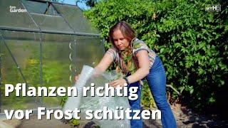 Pflanzen vor Kälte schützen | „Easy Garden“ | myHOMEBOOK