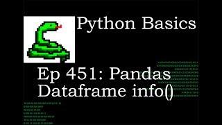 Python Basics Pandas Dataframe Info Method