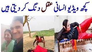 Funny video - Amazing video - beautiful video - Wasaib info tv