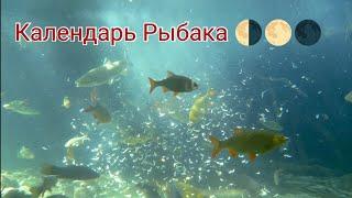 Календарь Рыбака, прогноз клёва на июнь 2023 г.