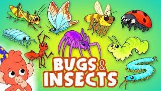 Learn Insects and Bugs for kids | Animals for kids | Club Baboo